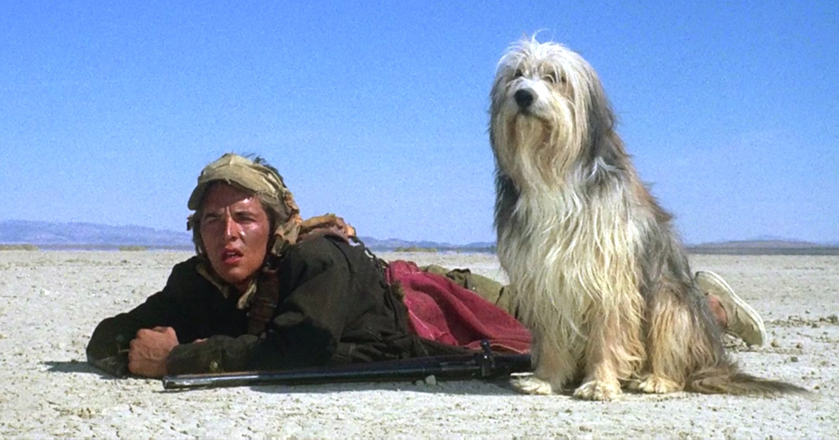 A Boy and His Dog (1975)