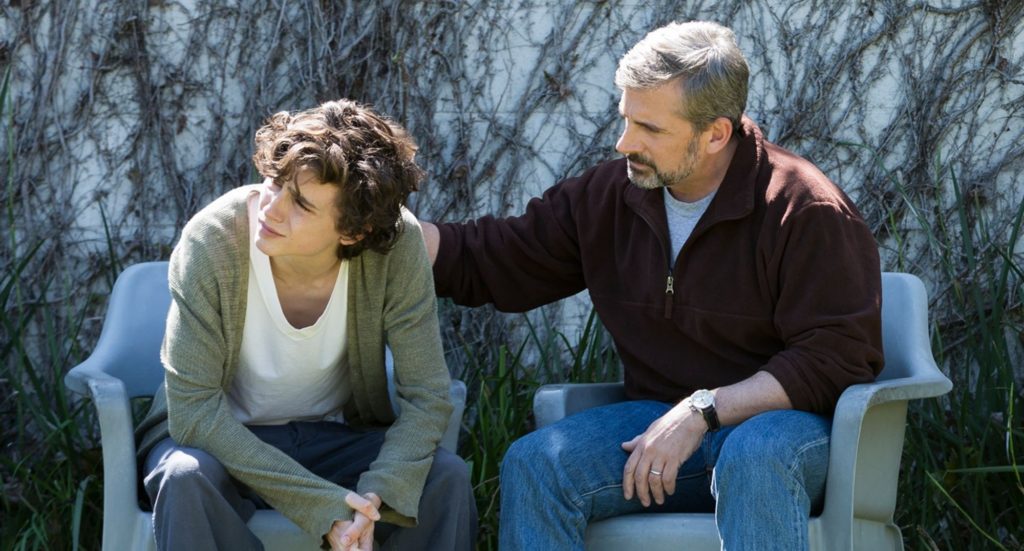 Beautiful Boy (2018)