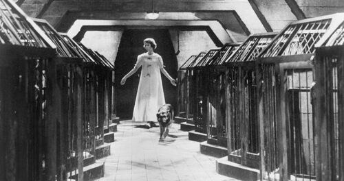 Eyes Without a Face (1960)