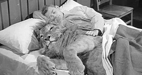 Fearless Fagan (1952)