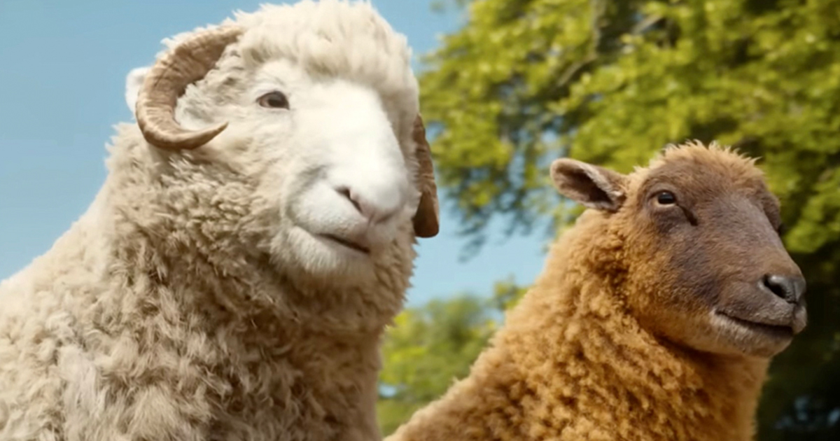 The Sheep Detectives (2026)