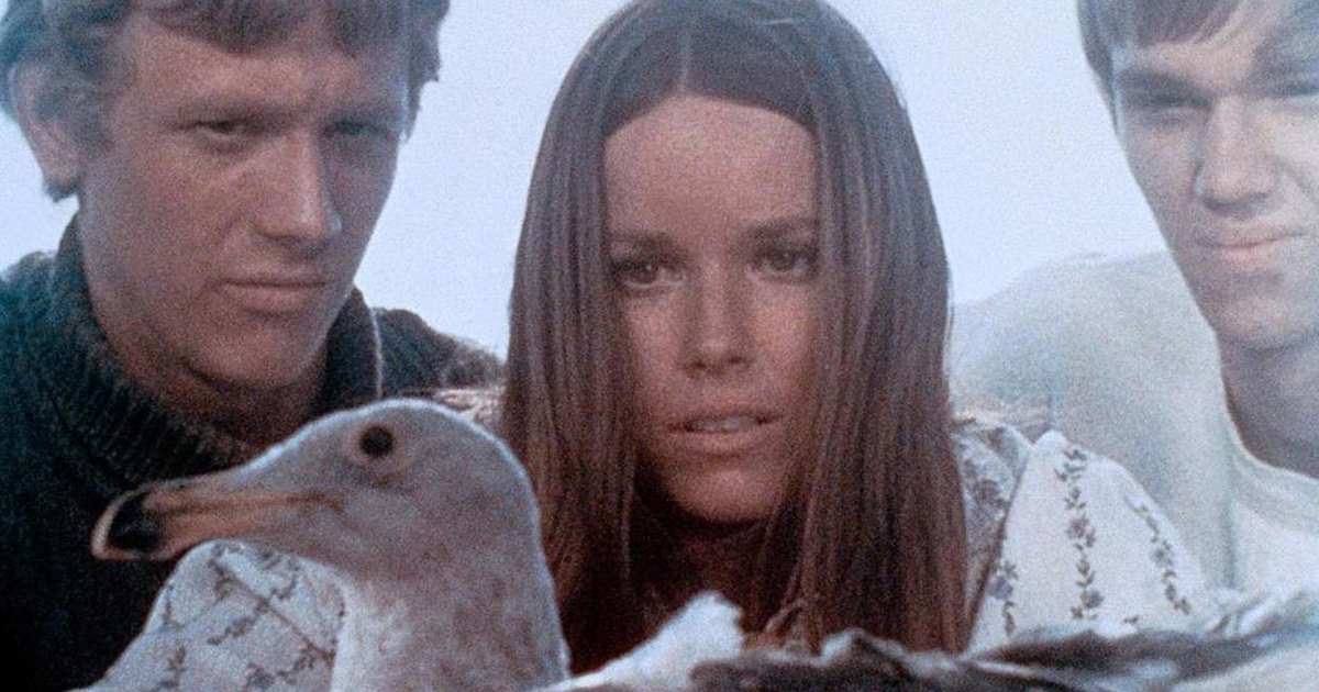 Last Summer (1969)